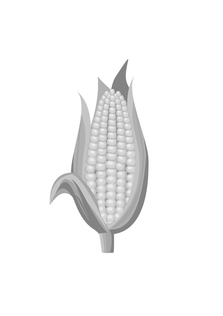 Agricultural events at Hibarri