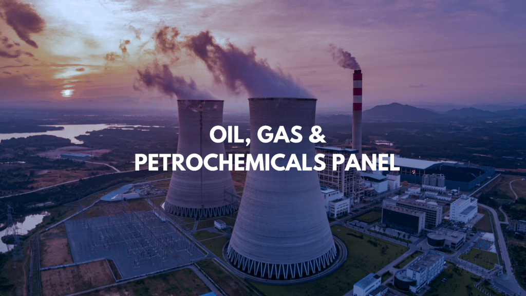 Oil, Gas & Petrochemicals Panel Discussion ICS2025